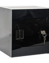 Acrylic Locking Ballot/Suggestion Box